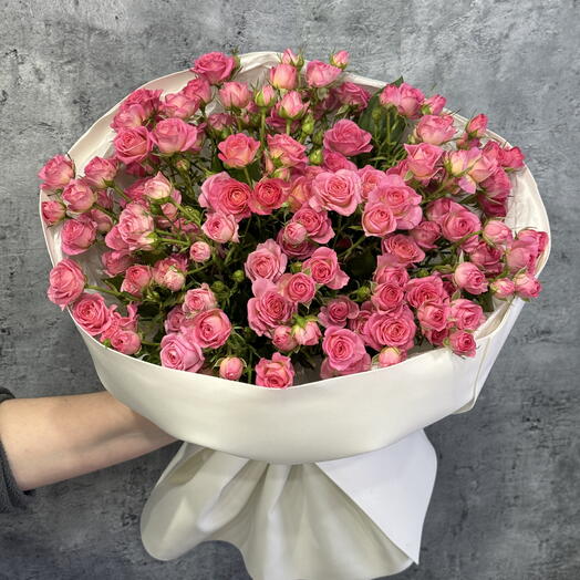 Rosa de arbusto rosa