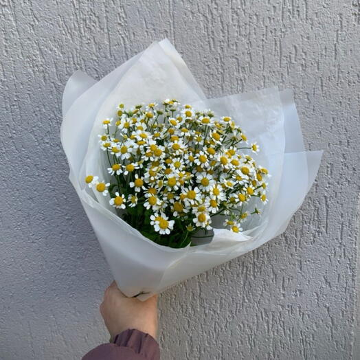 Букет Матрикария в белом
