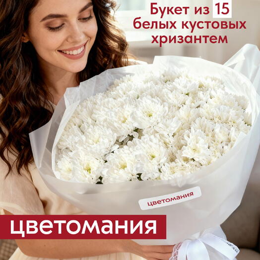 Букет из 15 белых кустовых хризантем