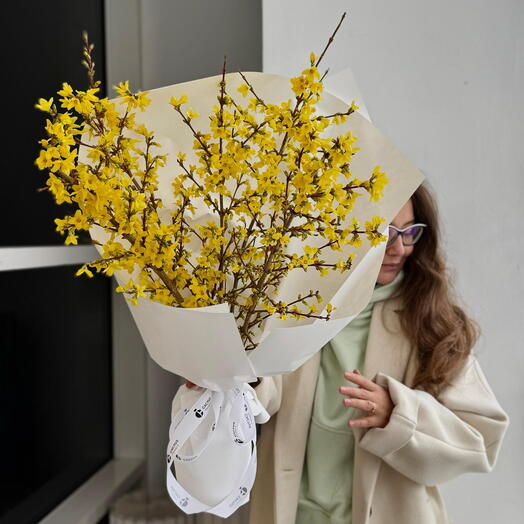 Охапка цветущей форзиции