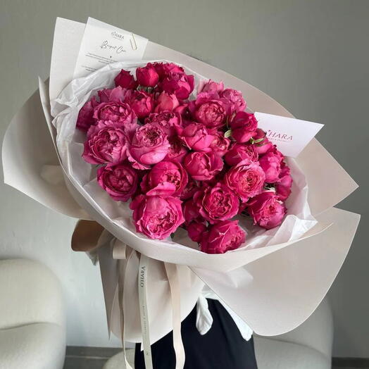 Julietta cerise S size