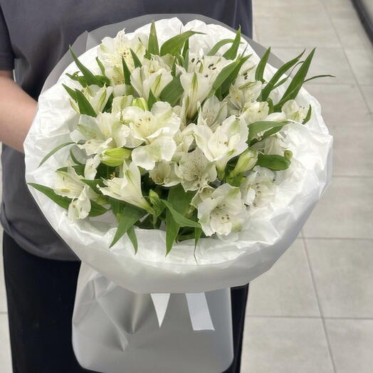 Белая альстромерия