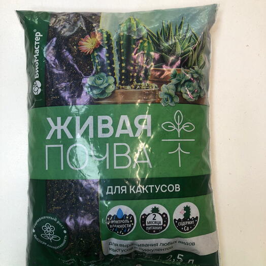Грунт для кактусов и суккулентов