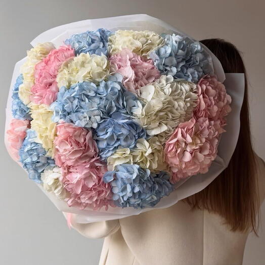 Облако гортензии