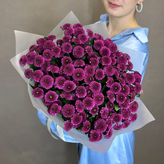 15 Santini Bush Chrysanthemums