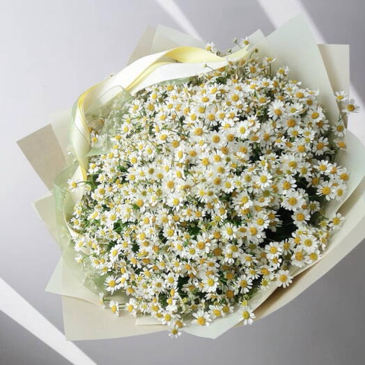 Весенний букетик ромашек 🌼