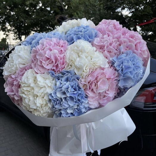 Большой букет с разноцветными гортензиями💕
