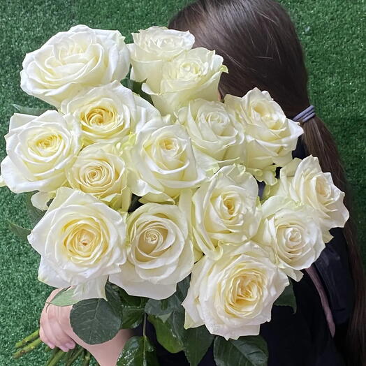 Роза белая невинность