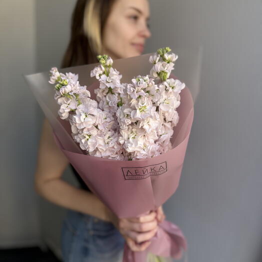 Букет из 5 сиреневых маттиол