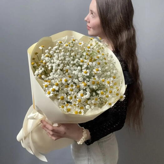 Ромашки с гипсофилой
