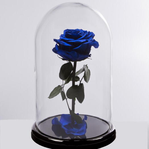роза в колбе Blue