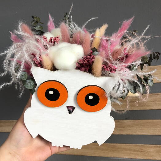 Совунья🦉