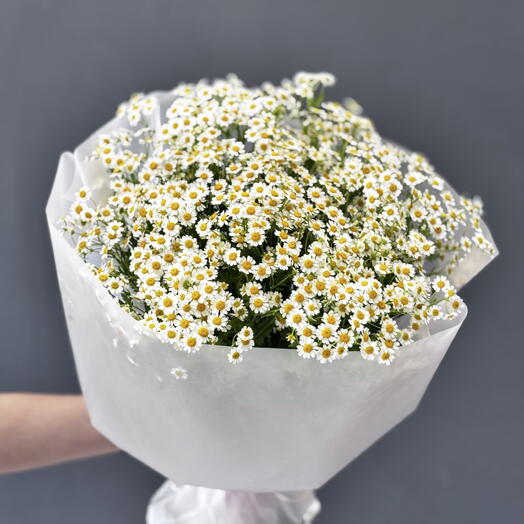 Букет «Моно из 19-ти ромашек»🌼
