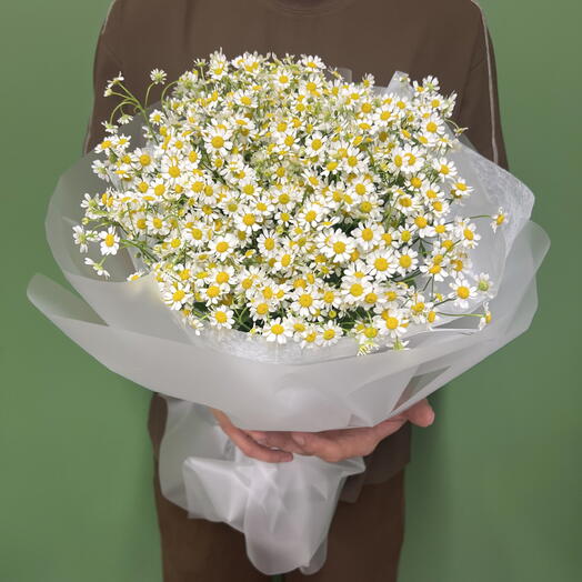 Моно букет из ромашек