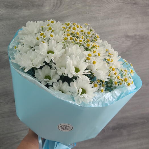 Ромашковая поляна