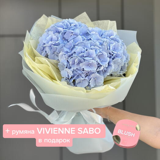 Букет Молли из 3 голубых гортензий + подарок от Vivienne Sabo — румяна MACARON