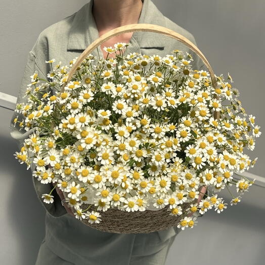 Лужайка