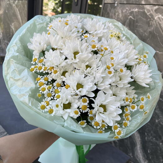 Ромашки