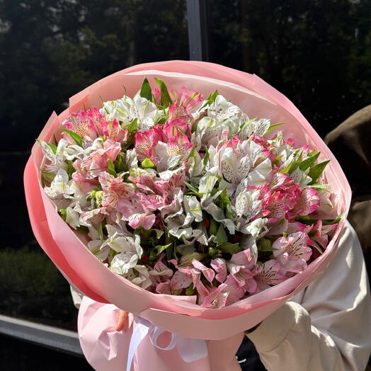 Pink   White