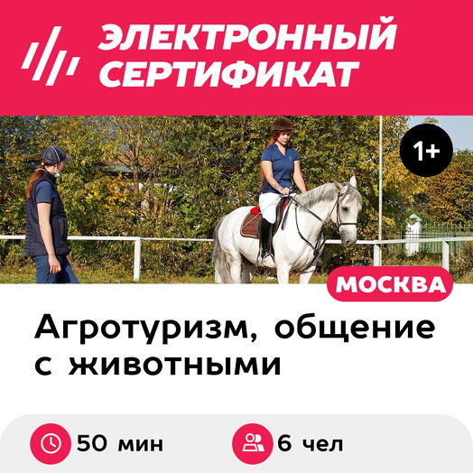 Подарочный сертификат Индивидуальная экскурсия на конюшню и катание верхом, до 6 чел. (50 минут)