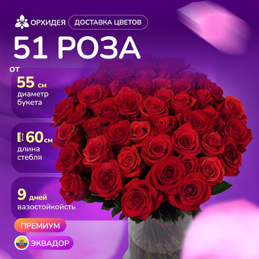 51 роза "Нина"