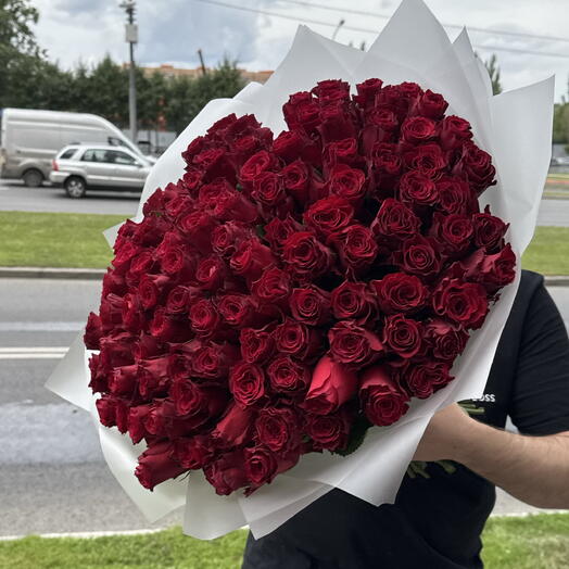 Крупная Роза бордовая