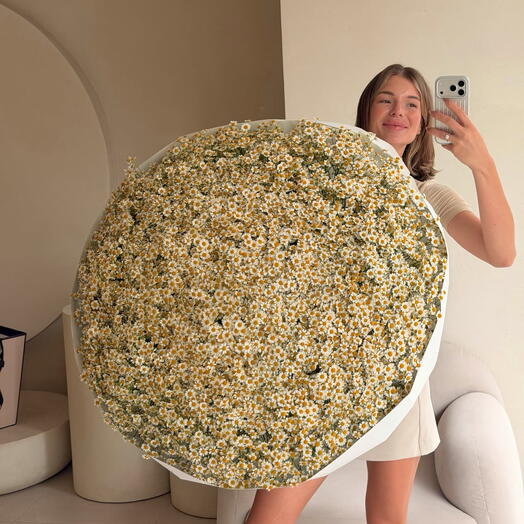 Букет из 201 кустовой ромашки