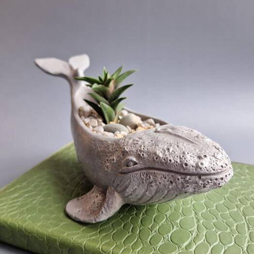 The composition "gray whale"