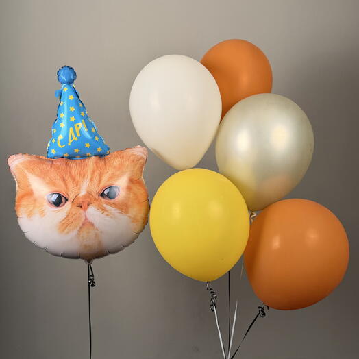 Сет шаров мини с сердитым котом
