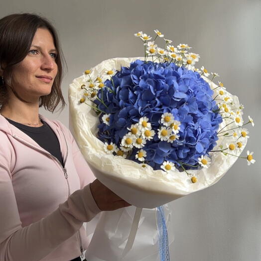 Гортензия и ромашки