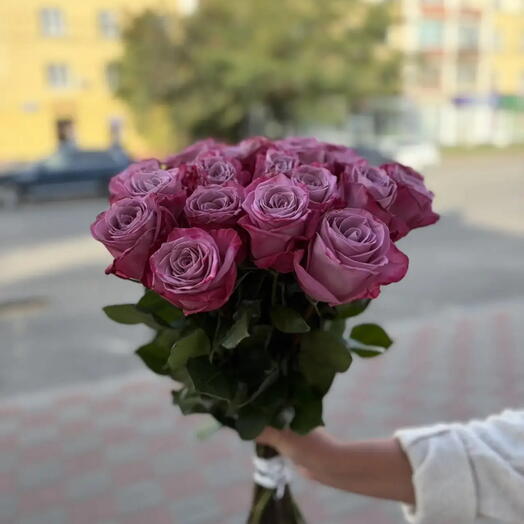 Роза сиреневая