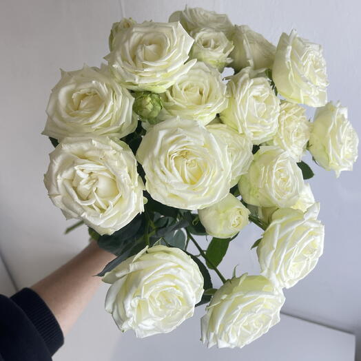 Розы кустовые белые 5