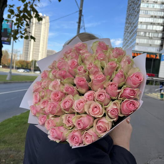 51 нежно-розовая Роза