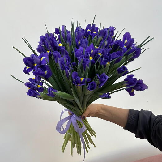 Букет из 55 ирисов