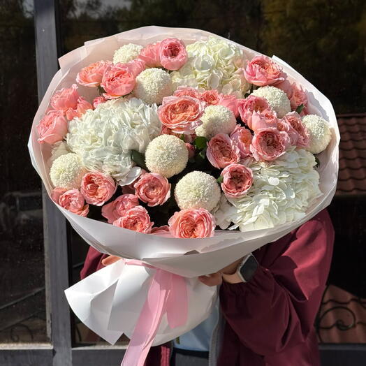 Peachy Hydrangea
