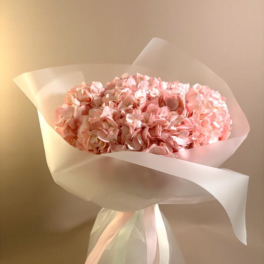 Пять розовых гортензий Pink Cloud