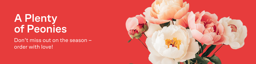 thematic-banner