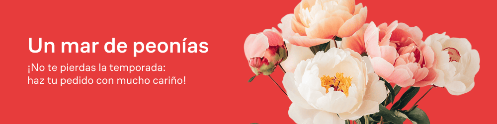 thematic-banner